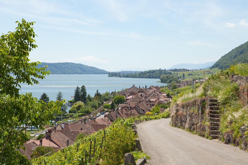 Alpes Et Lac La Neuveville Exterior photo